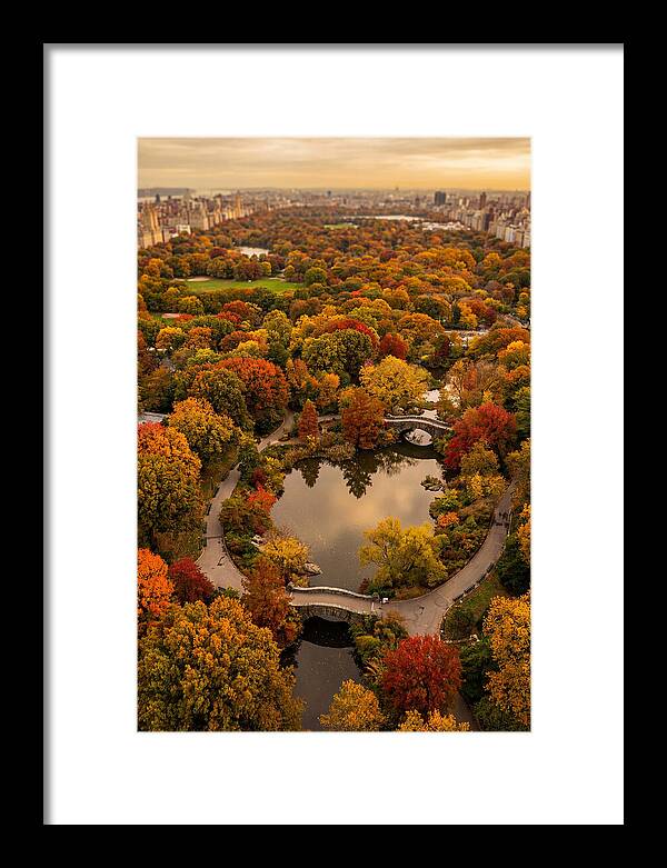Aerial View Of Autumn Park