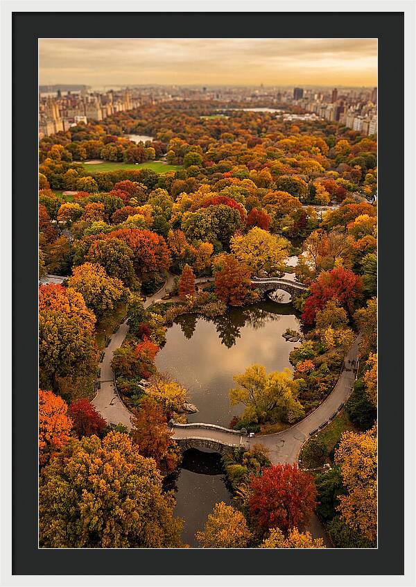 Aerial View Of Autumn Park