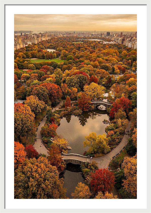 Aerial View Of Autumn Park
