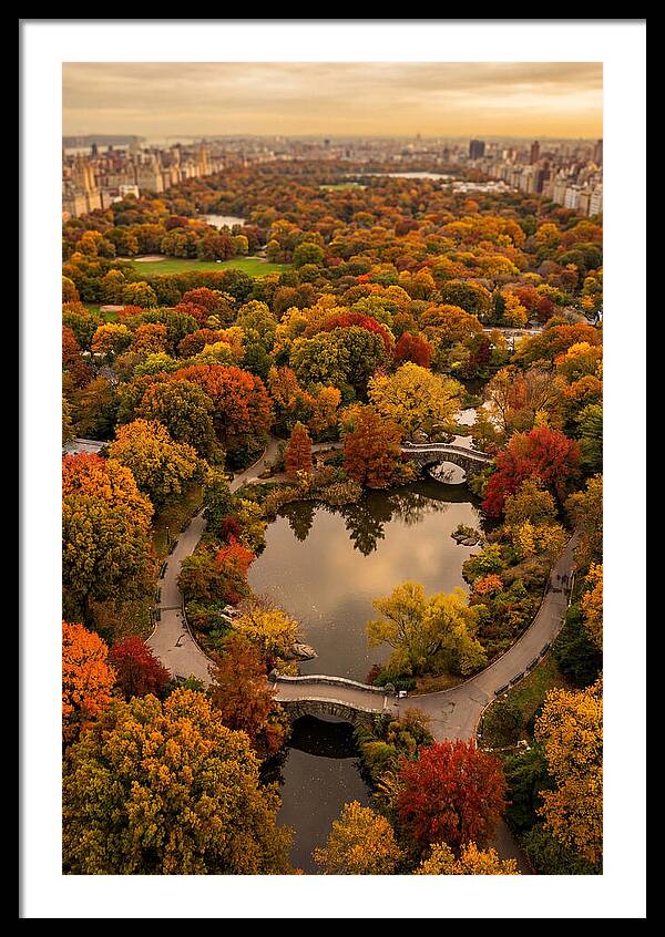 Aerial View Of Autumn Park