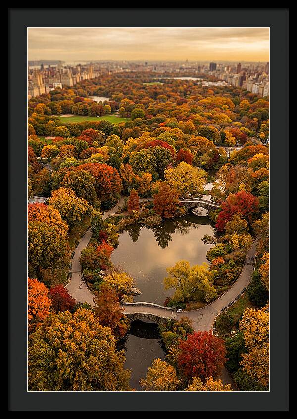 Aerial View Of Autumn Park