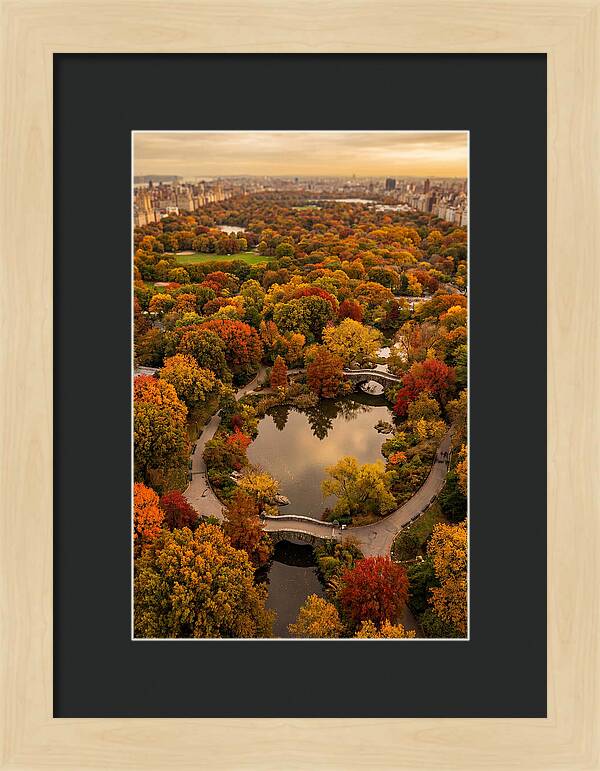 Aerial View Of Autumn Park