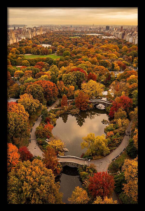 Aerial View Of Autumn Park