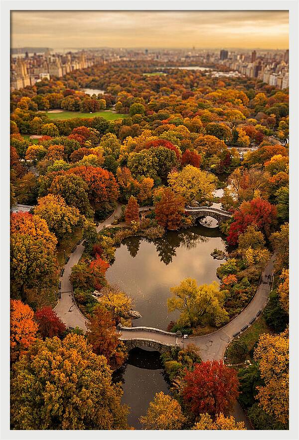 Aerial View Of Autumn Park