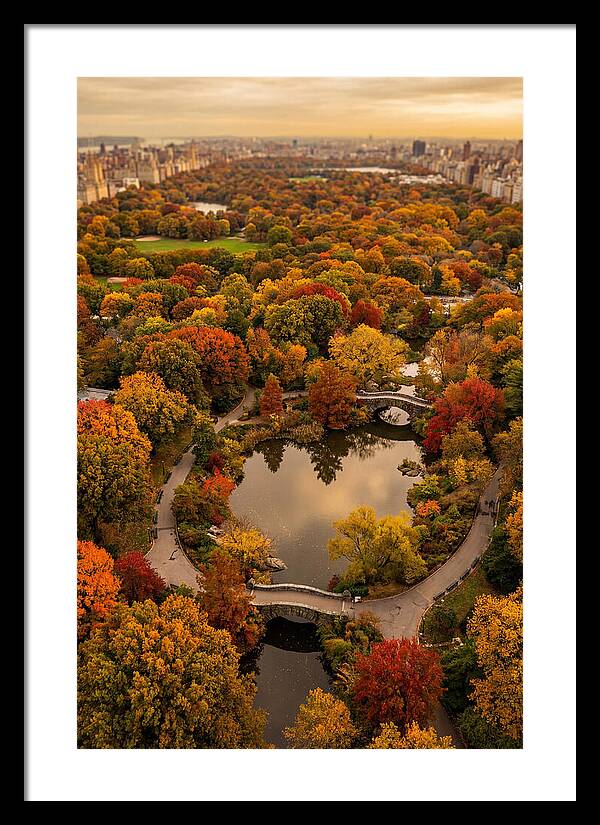 Aerial View Of Autumn Park