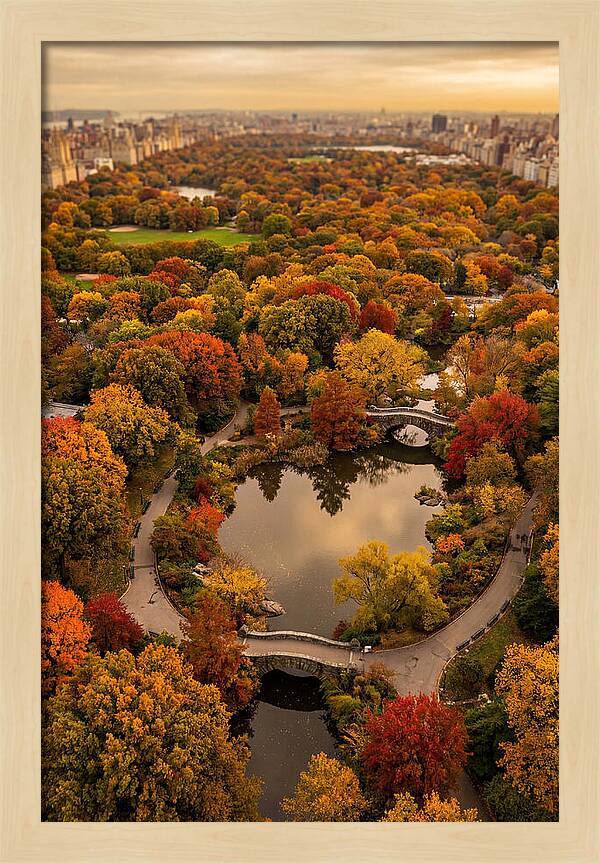 Aerial View Of Autumn Park