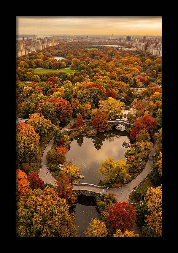 Aerial View Of Autumn Park