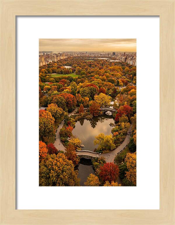 Aerial View Of Autumn Park
