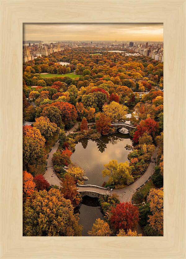 Aerial View Of Autumn Park