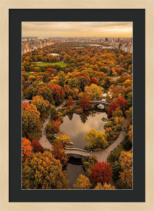 Aerial View Of Autumn Park