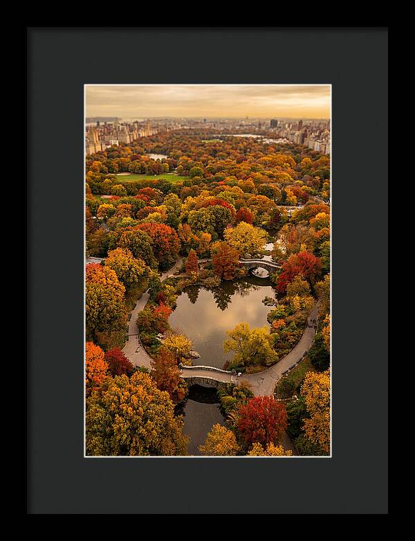 Aerial View Of Autumn Park