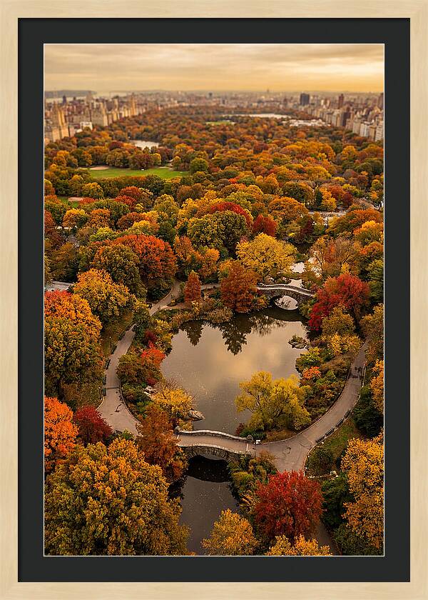 Aerial View Of Autumn Park