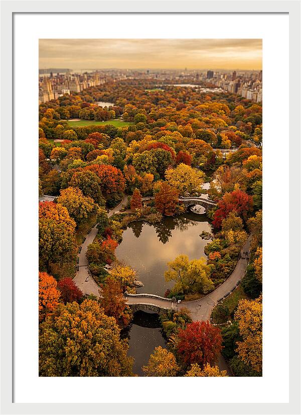 Aerial View Of Autumn Park