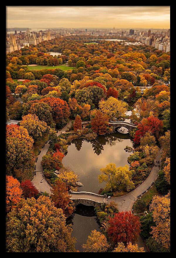 Aerial View Of Autumn Park
