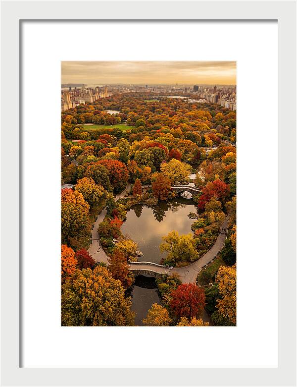 Aerial View Of Autumn Park
