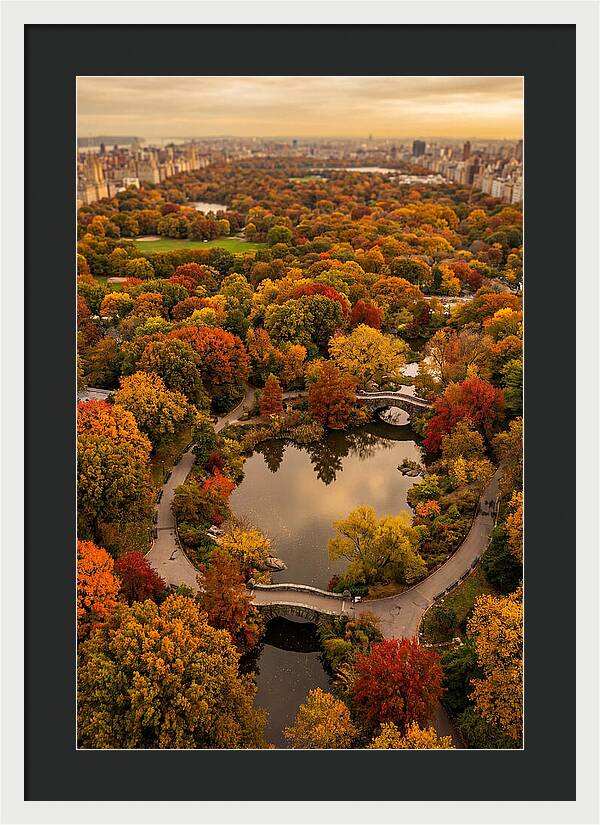 Aerial View Of Autumn Park