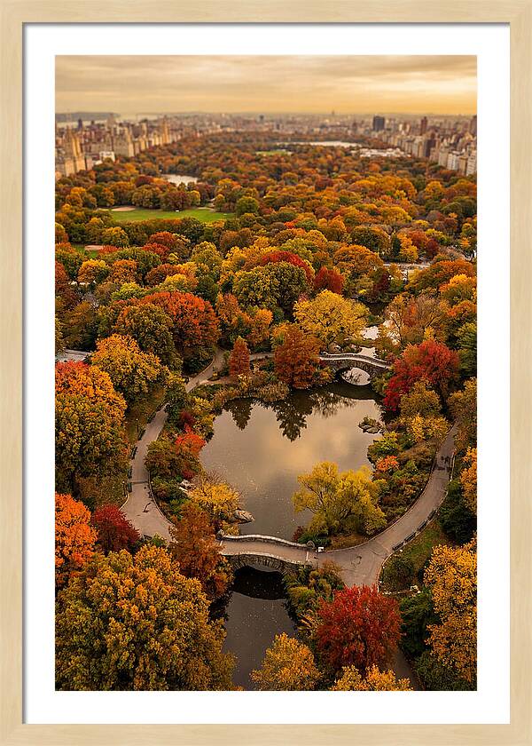 Aerial View Of Autumn Park