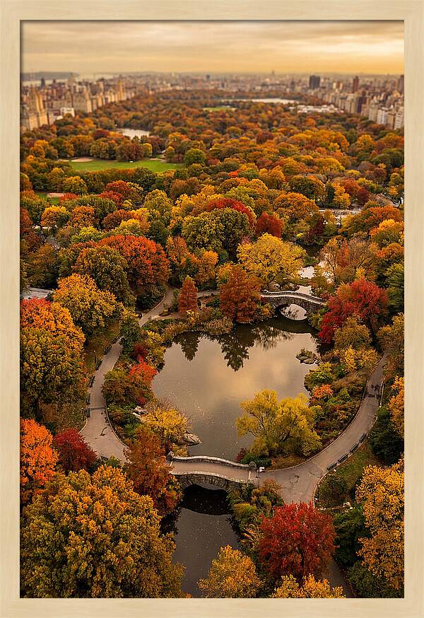 Aerial View Of Autumn Park