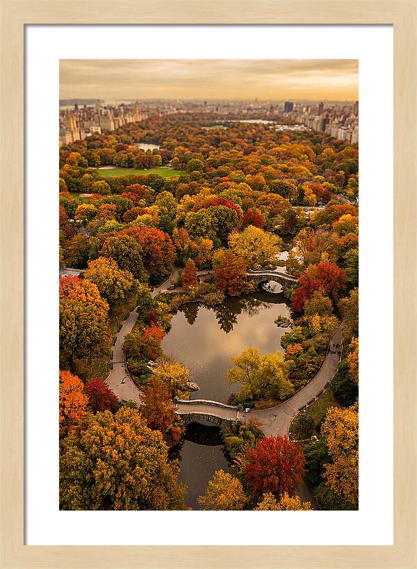 Aerial View Of Autumn Park