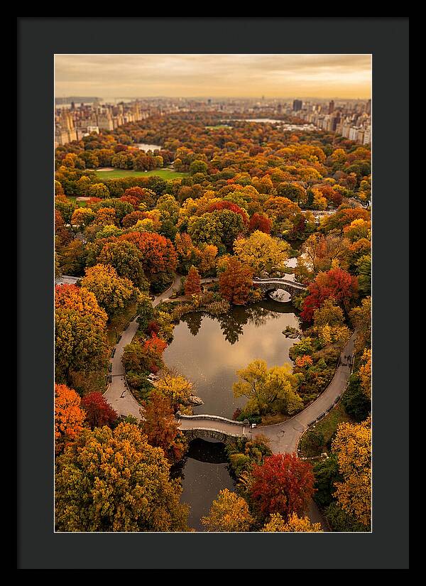 Aerial View Of Autumn Park