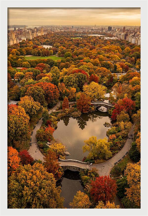 Aerial View Of Autumn Park