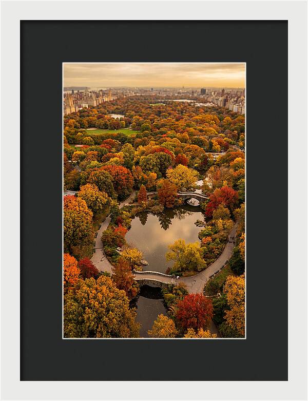 Aerial View Of Autumn Park
