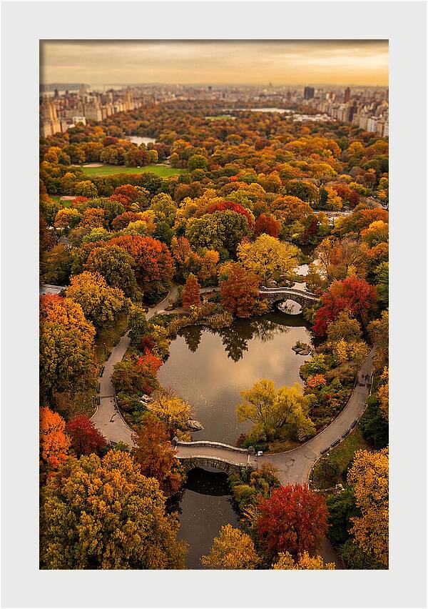 Aerial View Of Autumn Park