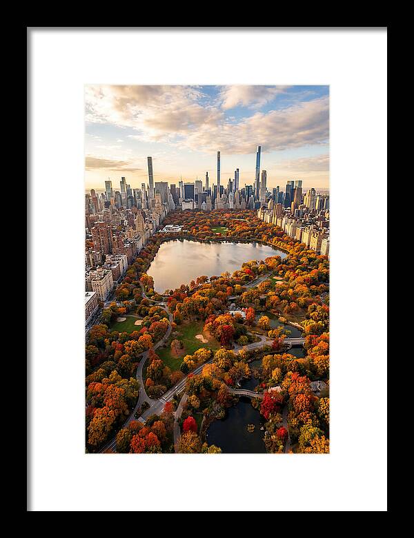 Aerial View Of Central Park In Autumn