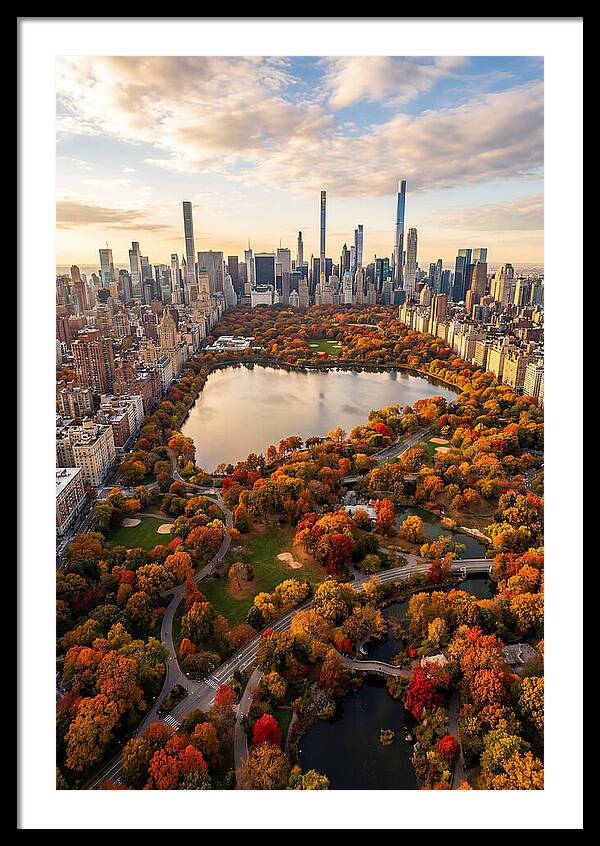 Aerial View Of Central Park In Autumn