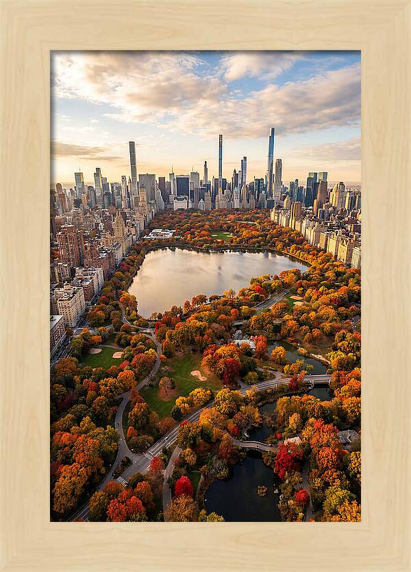 Aerial View Of Central Park In Autumn