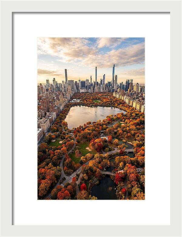 Aerial View Of Central Park In Autumn
