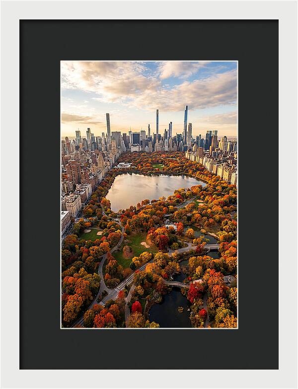 Aerial View Of Central Park In Autumn