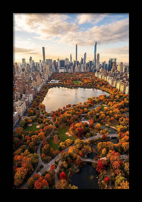 Aerial View Of Central Park In Autumn
