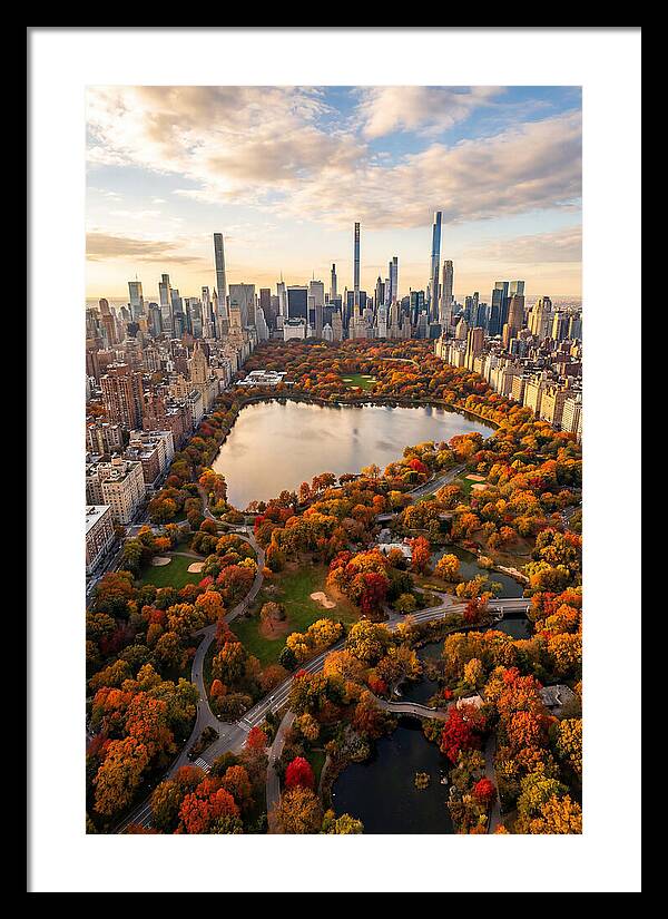 Aerial View Of Central Park In Autumn