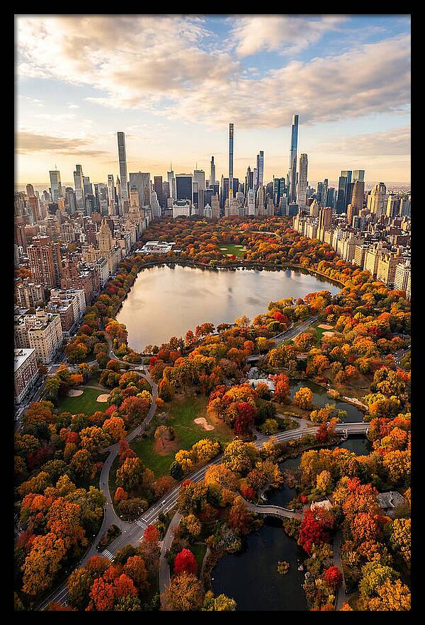 Aerial View Of Central Park In Autumn