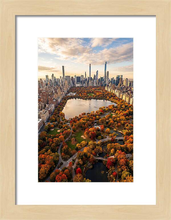 Aerial View Of Central Park In Autumn