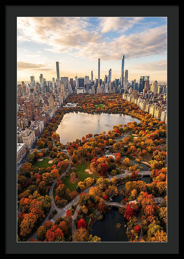 Aerial View Of Central Park In Autumn