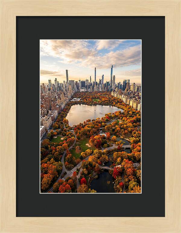 Aerial View Of Central Park In Autumn