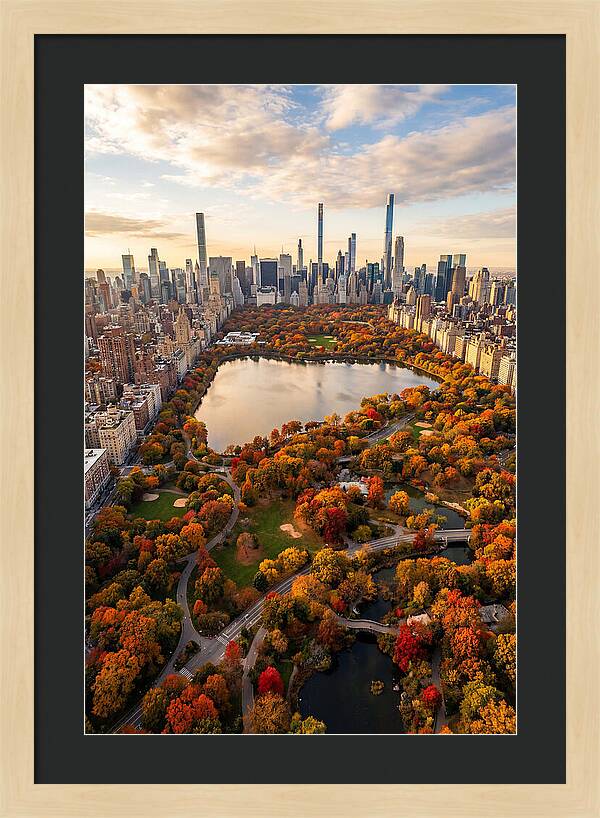 Aerial View Of Central Park In Autumn