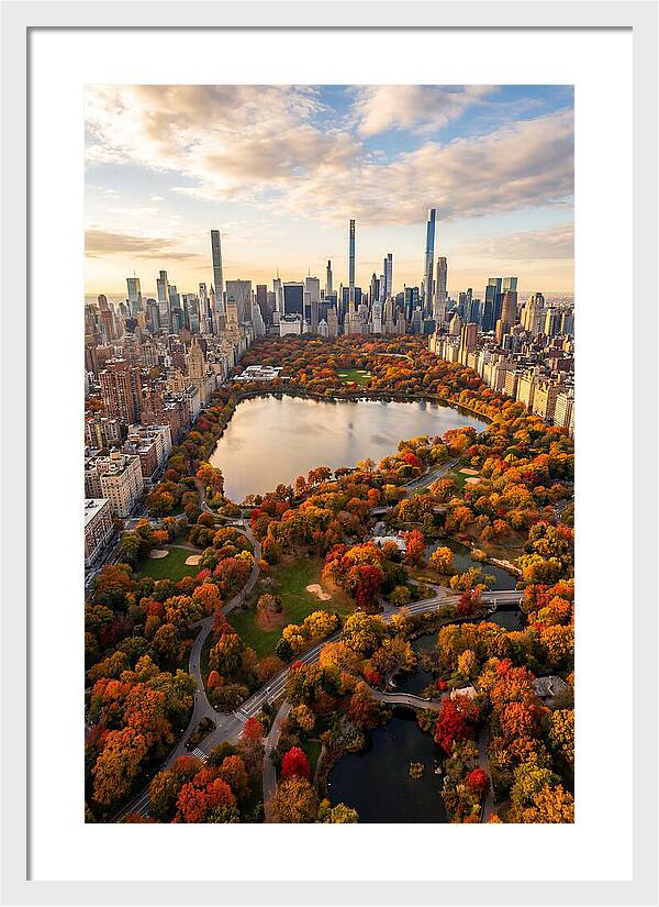 Aerial View Of Central Park In Autumn