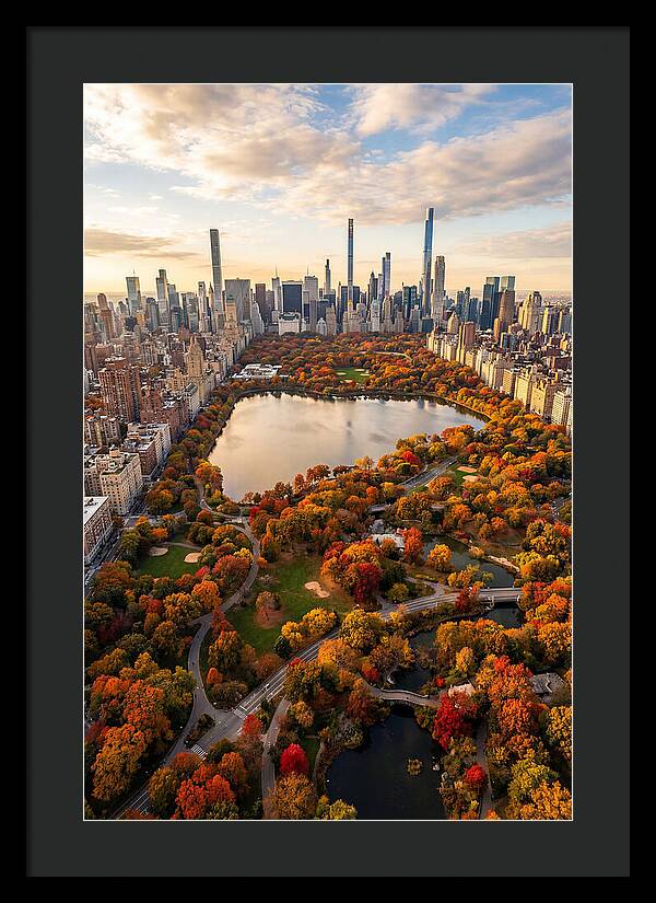 Aerial View Of Central Park In Autumn