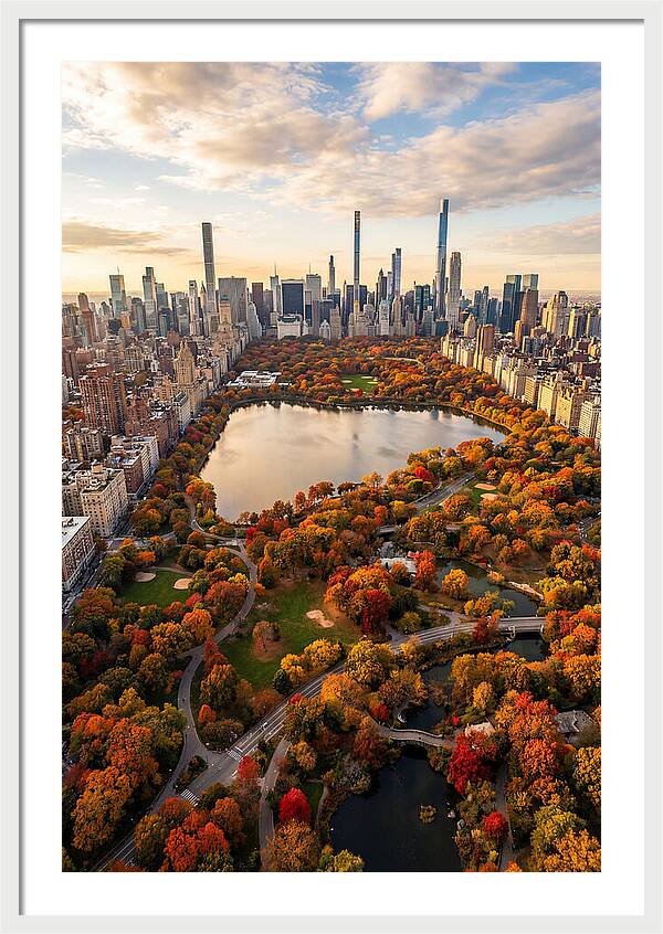 Aerial View Of Central Park In Autumn