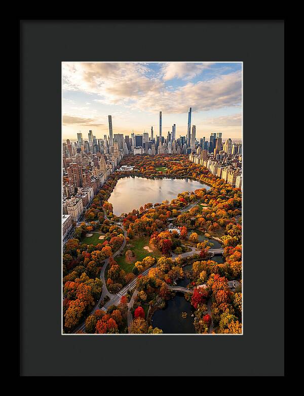 Aerial View Of Central Park In Autumn