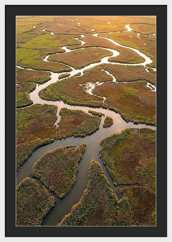Aerial View Of Marshland Channels