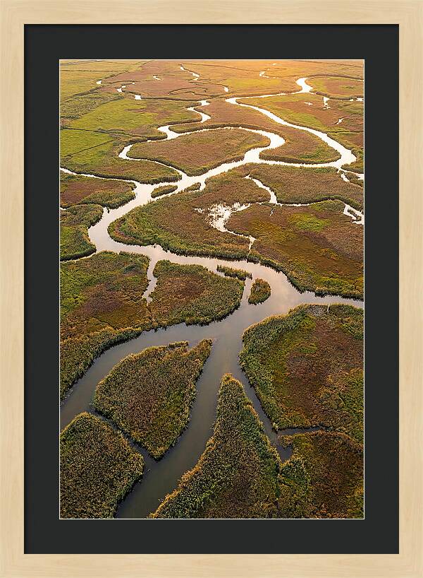 Aerial View Of Marshland Channels