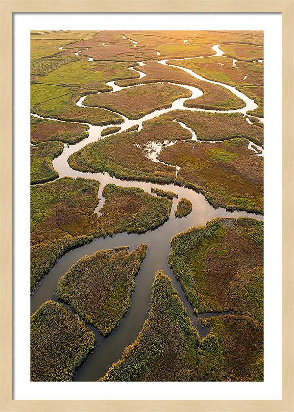 Aerial View Of Marshland Channels