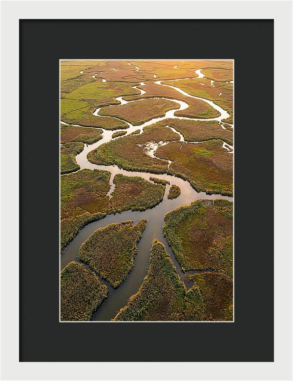 Aerial View Of Marshland Channels