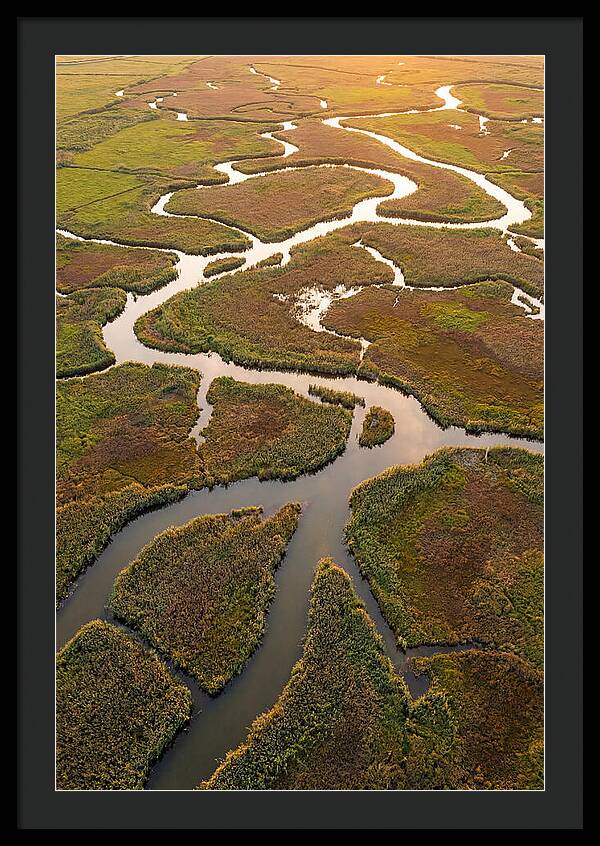 Aerial View Of Marshland Channels