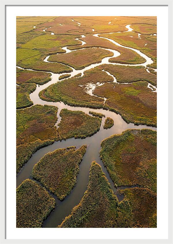 Aerial View Of Marshland Channels
