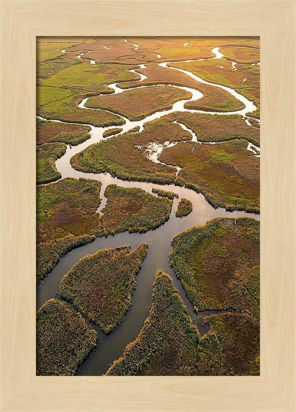 Aerial View Of Marshland Channels
